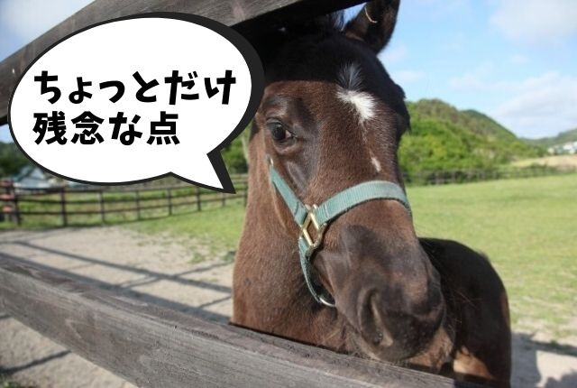 「革の惜しい所」見出し