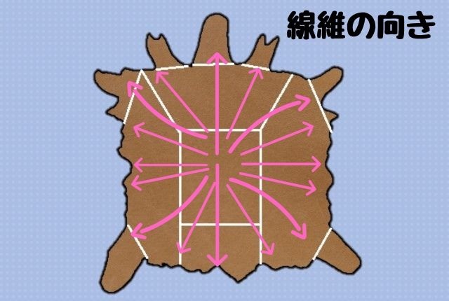 革の繊維の方向