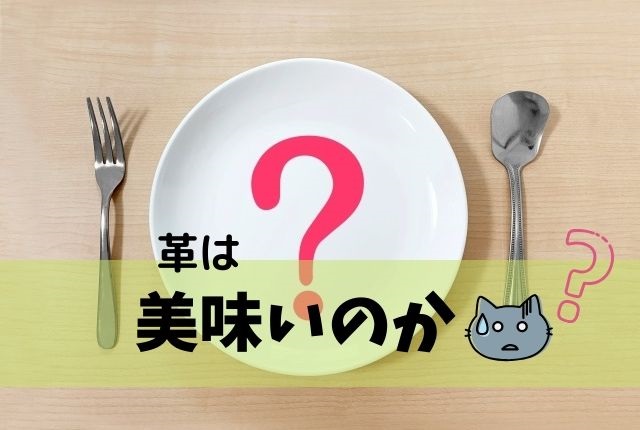 革が食べられるって本当 調べてわかったビックリな事実とは 革好きの情報ブログ 革らばん