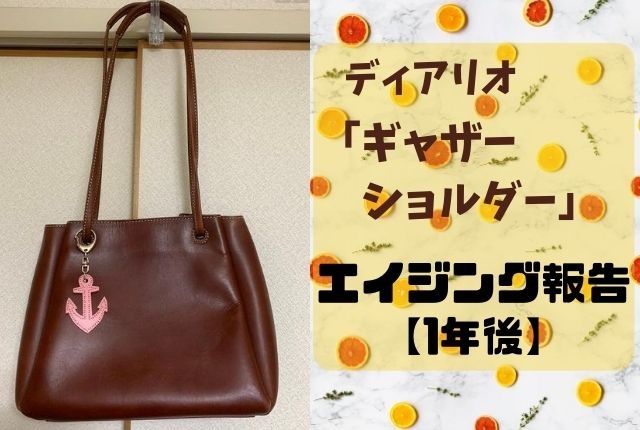 ディアリオ「ギャザーショルダー」エイジング報告【1年後】 | 革好きの 