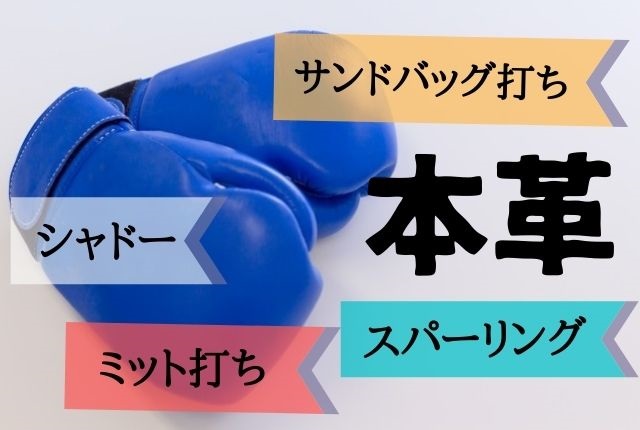 本革ボクシンググローブのおすすめは?元ボクサー厳選の6つ